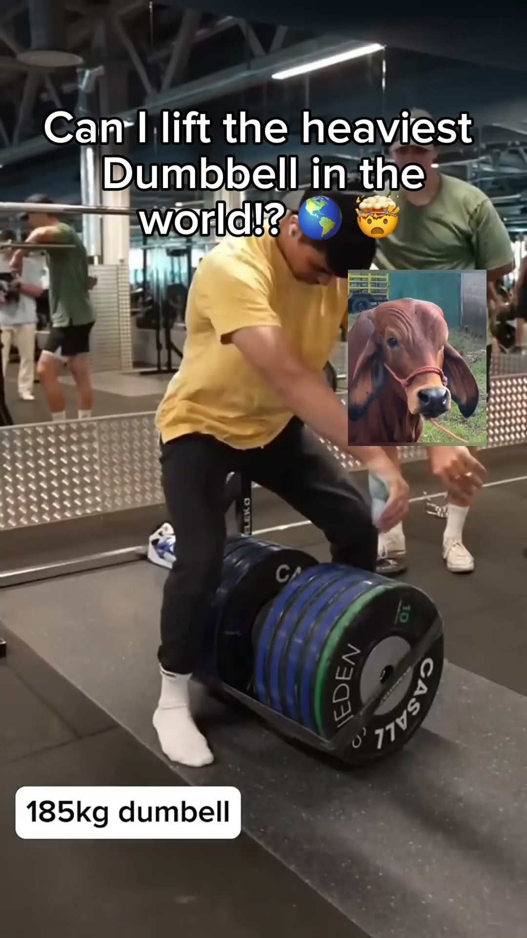 can-i-lift-the-heaviest-dumbbell-in-the-world-youtube