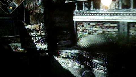 Cod 5 dummy glitches