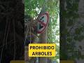 Inutles al Acecho #burzaco #memesvideo  #shortsfunny #shorts