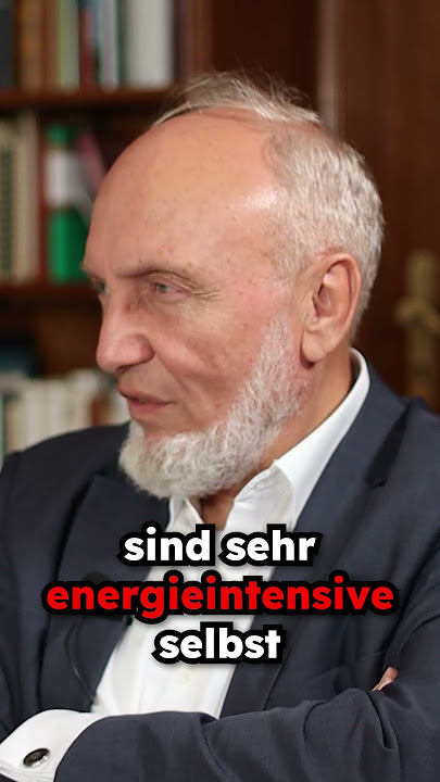 Prof. Hans-Werner Sinn über energieintensive Industrie