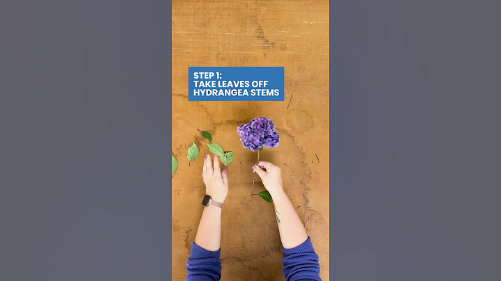 DIY BloomStruck® Hydrangea Wreath