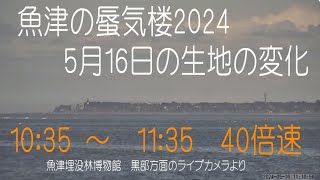 魚津の蜃気楼　2024年5月16日生地の変化　埋没林LIVE