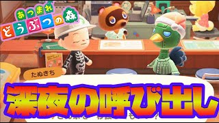 【あつ森】5月突入～！メーデーくる？？クリ夜活！どうぶつの森  【あつまれどうぶつの森/switch】実況