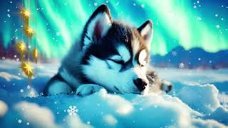 LULLABY with cute fluffy husky puppy. Quick and healthy sleep for babies, princesses and princes.