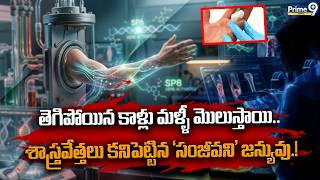 Regrowing Limbs | తెగిపోయిన కాళ్లు మళ్ళీ మొలుస్తాయి.! | Can People Regenerate Body Parts? | Prime9