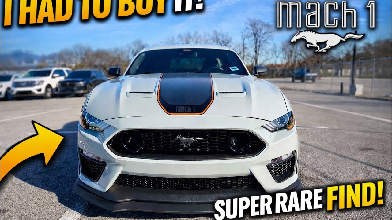 Прощай, S650. Купил ещё один Mustang Mach 1, и вы не поверите, в каком он состоянии!