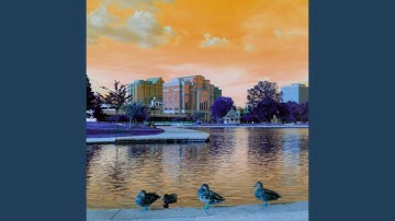 High-class Backdrops for Classic Atmosphere