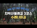 한국의 아름다운 길 | 치악산둘레길 3코스 수레너미길 | 잣나무 숲길 놀이터, 여름 트레킹, 국내여행