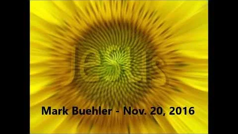Mark Buehler - November 20, 2016