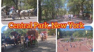 Central Park, New York 🏞️#foryou #fyp #trending #park #usa #nyc #youtubevideo #viral #famous #video 
