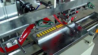 Automatic Printing Machine for plastic security seal(numerous change for each printing)