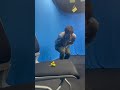 感電する高田健志 #shorts