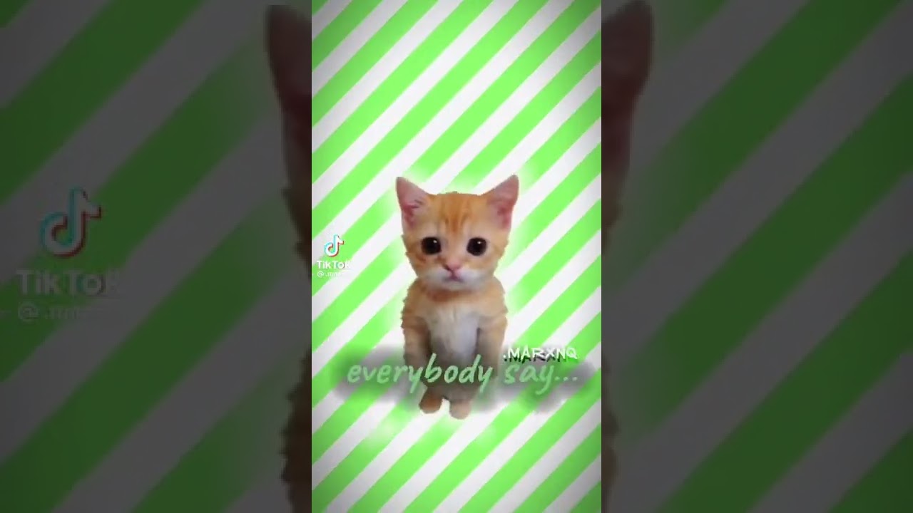 It’s your birthday today!