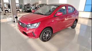 China Hot sales model five door China electric cars 4 Seat electric car adult vehicle E4