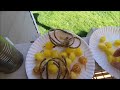 Middle of video