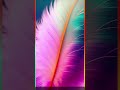 Best Apps for High-Quality Wallpapers (2025)
