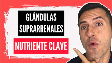 ¿Qué vitamina ayuda a las glándulas suprarrenales?