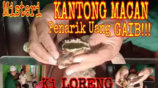 Misteri Kantong Macan Penarik Uang Gaib  mamokuduscirebon