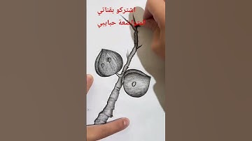 #القرآن_الكريم #تلاوة_خاشعة #الرحمن #ترند #اكسبلور #قرآن_بصوت_جميل