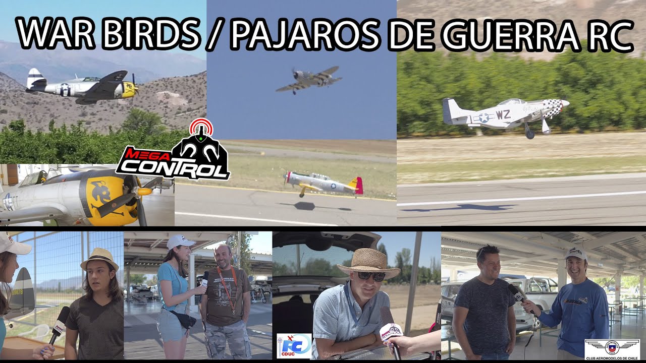 Los mejores Aviones de guerra RC 🪖 WAR 💣 Aeromodelismo 🚩hobby Pájaros de guerra - YouTube