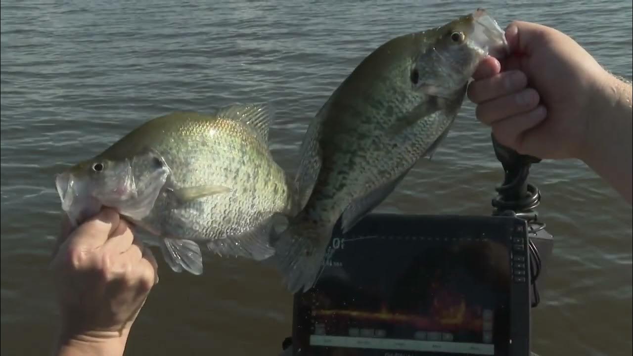 Crappie Fishing on the Ross Barnett Reservoir 