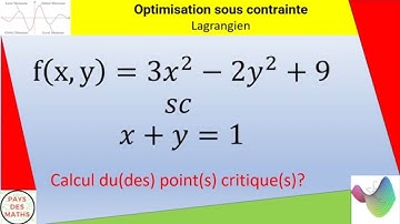Optimisation sous contrainte : utilisation du lagrangien