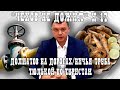 «Чехов не дожил» | №17 | Егор Долматов гоняется за мусором, в Таганроге ищут хозяина газовой трубы