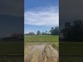 Pemandangan Indah di Kampung Siang Yang Cerah #desa #kampungsepi #kampung