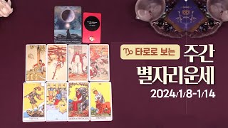 [타로/종합운] 24년 1월 둘째주 별자리 운세 (1/8 ~ 1/14)