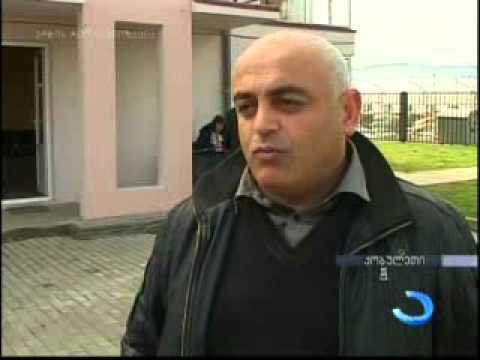 800 ძირი სუბტროპიკული ხურმის ნერგი ქობულეთელ ფერმერებს