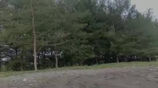 Happy Anniversary 17 month 💙🎊🎉