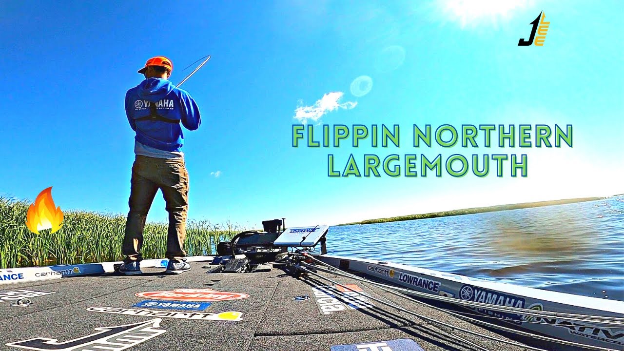 Lake Huron Largemouth Fishing (HEAVY COVER ONLY) YouTube