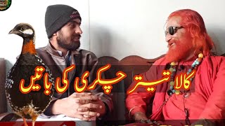 Kala Teetar Chakri Kay Bare Me Bat Chet Black Francolin Tournament Tips G Nabi Baloch Mama Rind