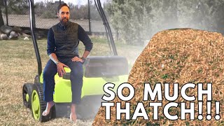 How to DETHATCH A LAWN AND WHEN TO DO it.