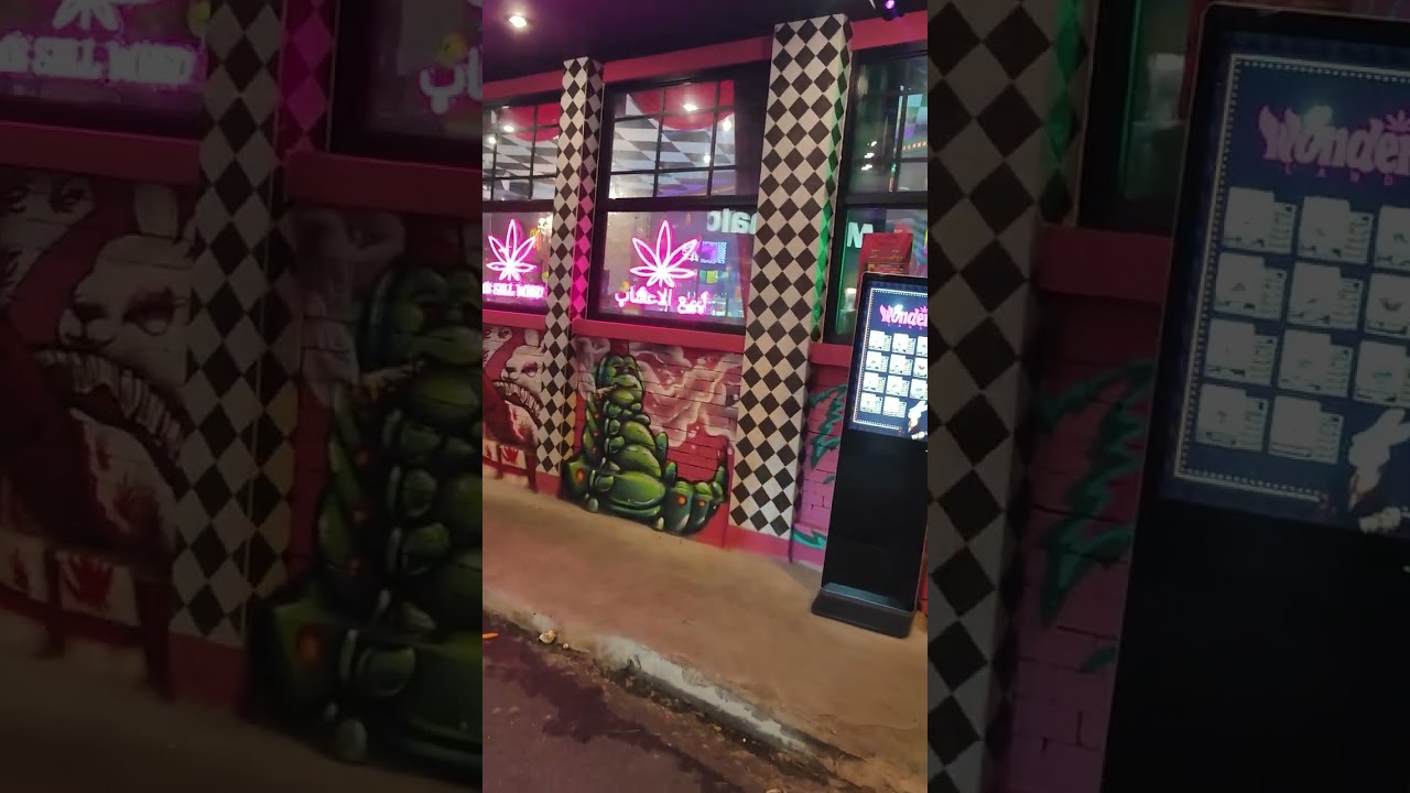 Sukhumvit soi 5 Bangkok wonderland weed shop