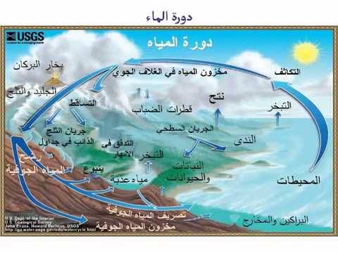 وظائف نسائيه بتبوك بشهادة الثانويه 1439