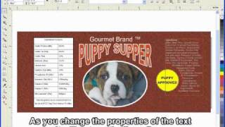 CorelDRAW® Graphics Suite X5 Great Help for Designers