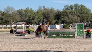 Ocala 2020 Junior Hunter Handy