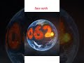 earth future in 2062 will very danger condition save earth 🌎🌎🌏🌏#solarsmash #earth #save #planet