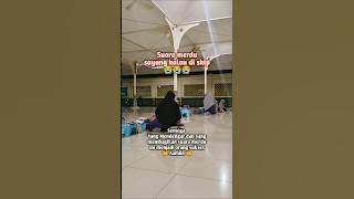 Masa Mau di Skip sekeren ini