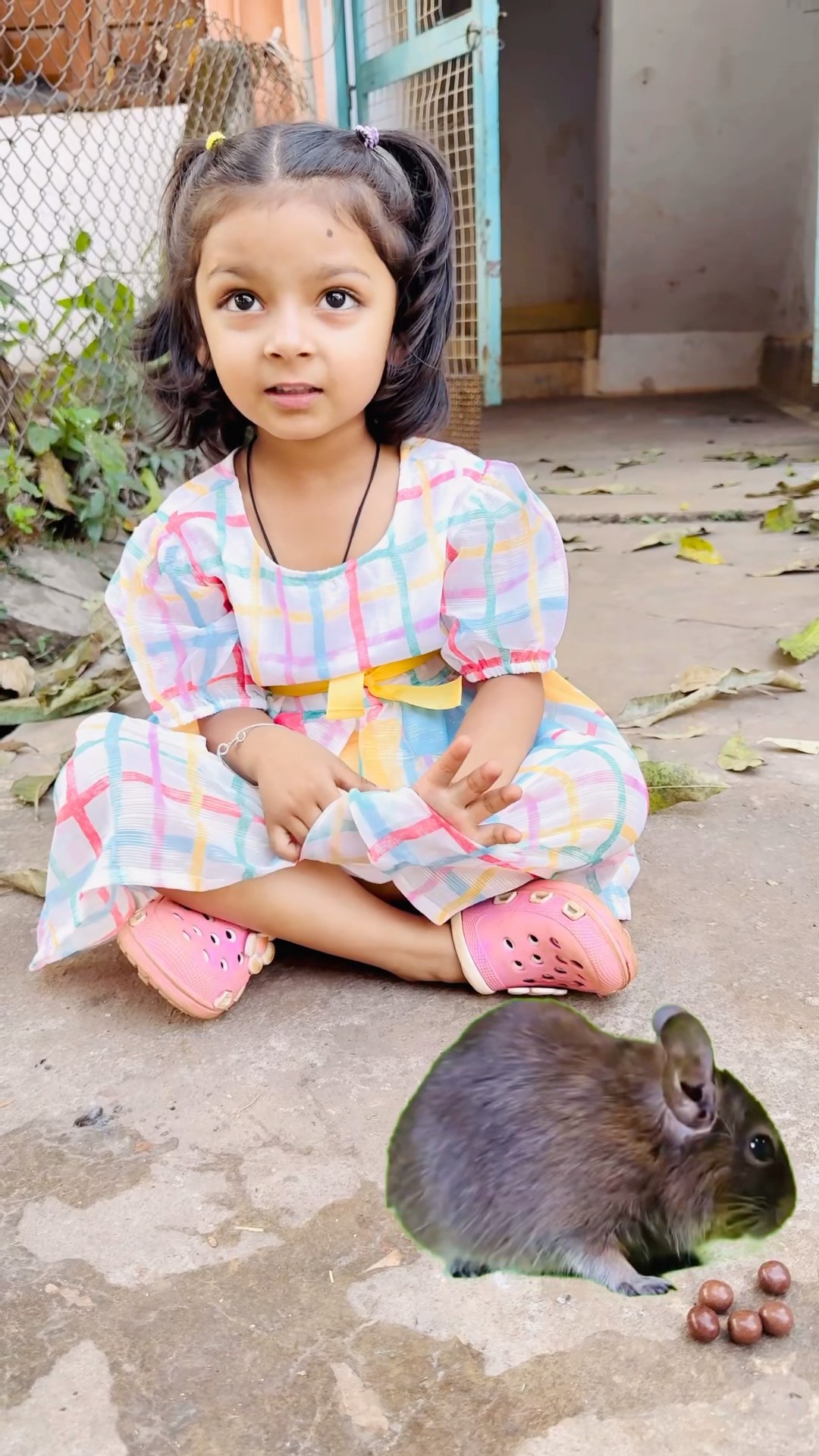 Tooktook ki mummy rat ki potty ko chocolate samjh ke khali?