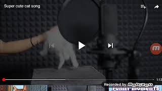 Lagu kucing yang sangat imut