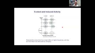 Event-related potentials and fields @MRCCBU