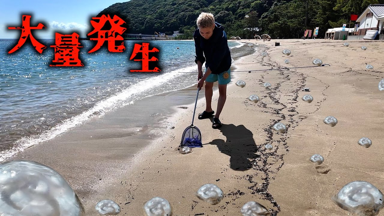 はじめしゃちょーの24時間生活の裏でニートはクラゲを拾い続けたら衝撃の数に....