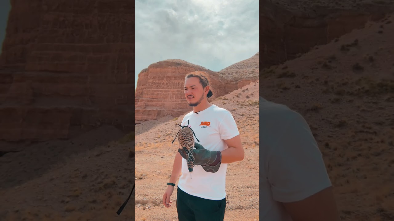 Как ориентироваться без компаса