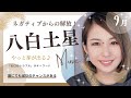 【2023年9月】八白土星の運勢🌾「バイオリズムの春が来た🥰☘️重苦しい流れからの解放😭羽を伸ばして飛び立とう🦋」