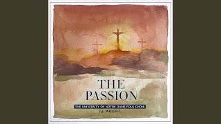 Download Lagu Veronica's Song MP3