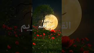 alquran #viralvideo
