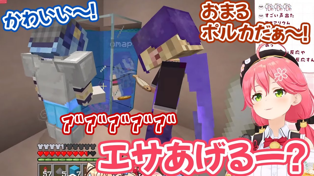 水棲ペットとして尾丸ポルカを監禁してかわいがる不知火建設メンバーたち【さくらみこ/星街すいせい/不知火フレア/ホロライブ切り抜き】