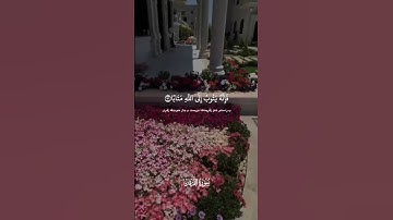 تلاوة هادئة تريح الأعصاب 😴🎧 القارئ: إيبى إدريس سوره: الفرقان 💙❤